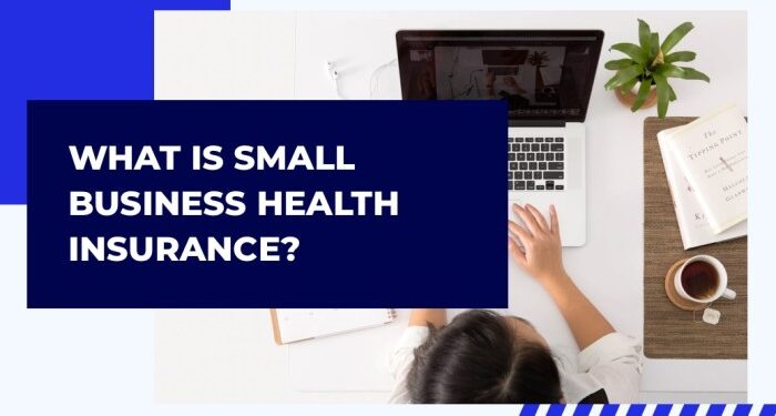 What is Small Biz Health Insurance? | Association Health Plans